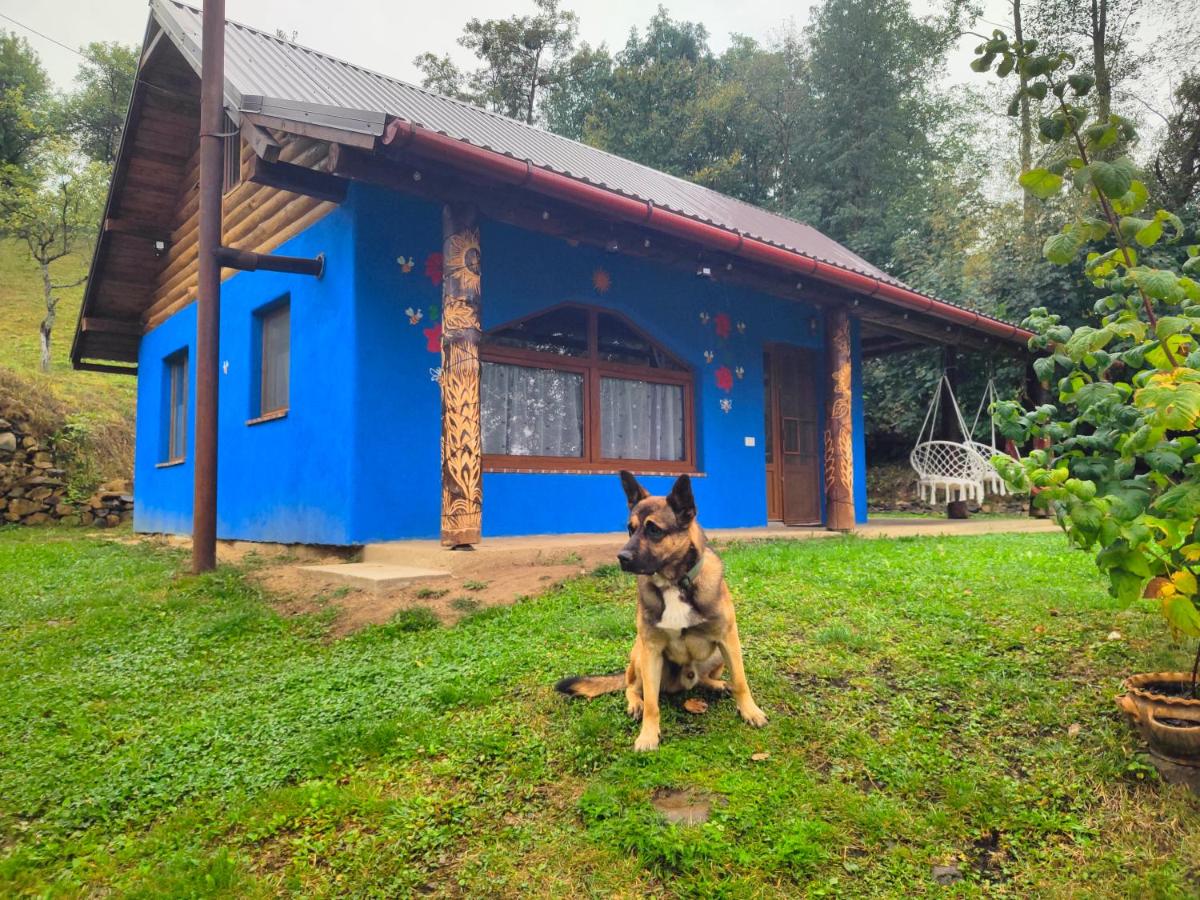 Căsuța albastră văzută din grădină