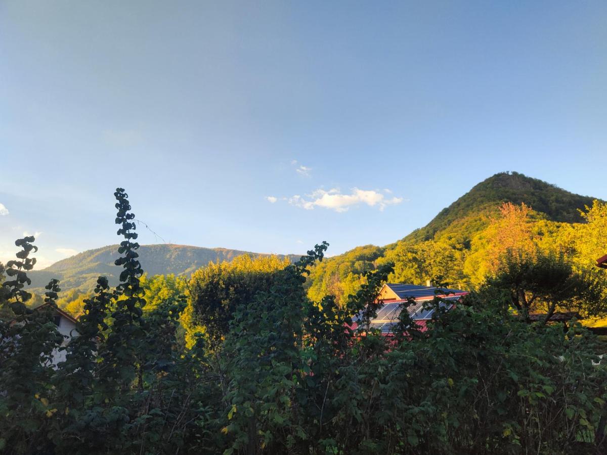 Munții din jurul Chiuzbaiei